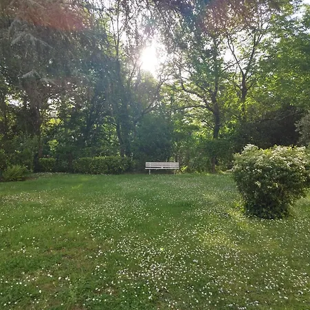 Apartment Coucher De Soleil, Gros Matelas, Parking, 2 Lits, Lave-linge, Wifi, Netflix Mazamet