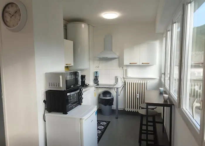 Mistral Gagnant ! T1 Calme Avec Vue, Parking, Teletravail, Wi-fi, Proche Cv Et Gare Lejlighed Mazamet